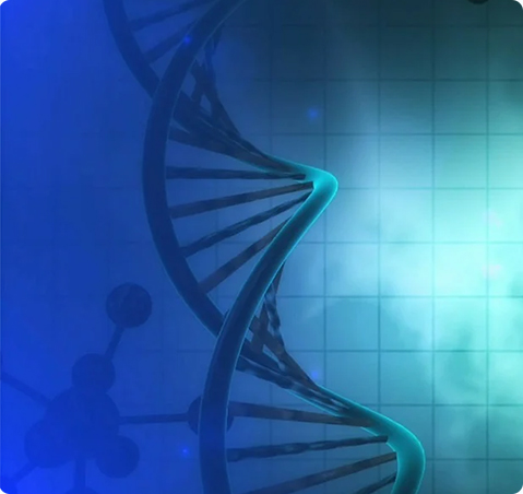 上海賢爭醫藥科技